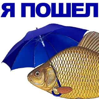 🐠