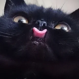 😝