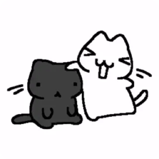 😽