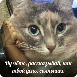 👂