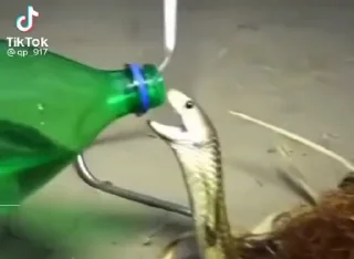 😂