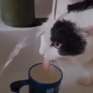 😛
