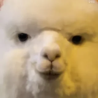 😏