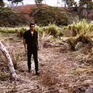 👎