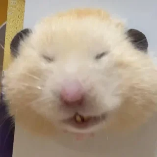 👲