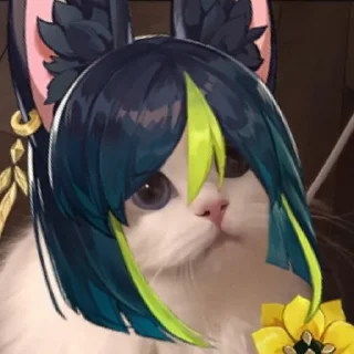 😼