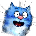 🙀