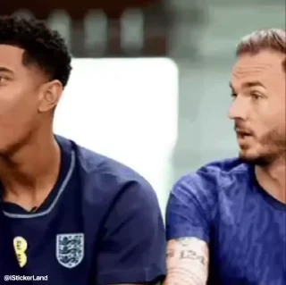 🤍