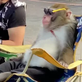 😎