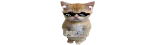 🐈