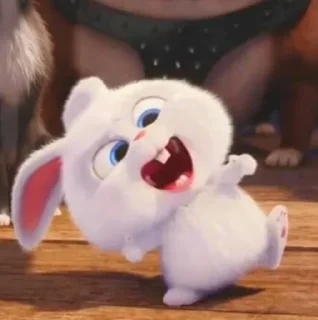 🐰