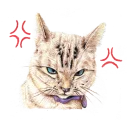 😾