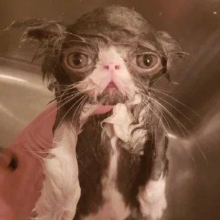😑