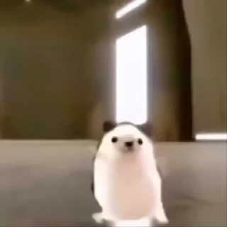 😜