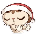🤚