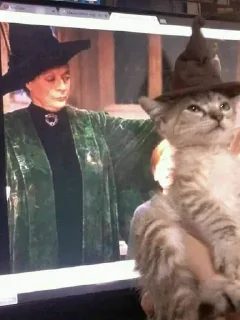 🧙‍♀️