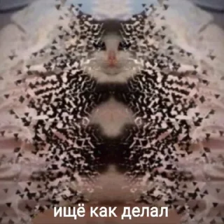 😭