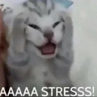 😱