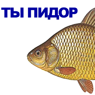 🐠