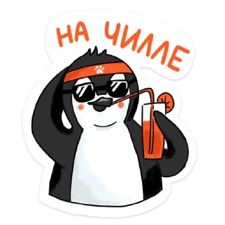 😎