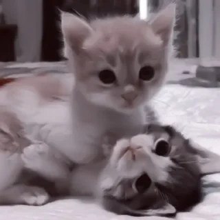 ❤️
