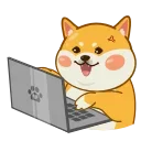 shiba @stickersb2b