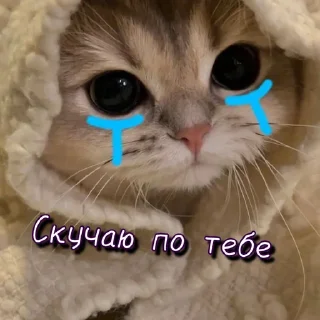 🥺