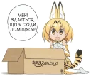 😺
