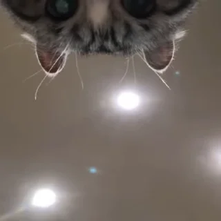 👀