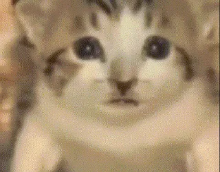 🤗