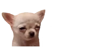 🐈