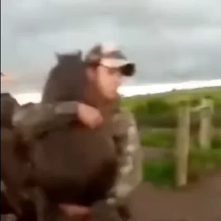 💃