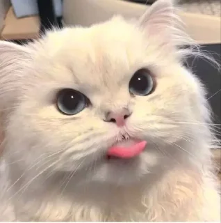 😛