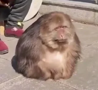 🙁