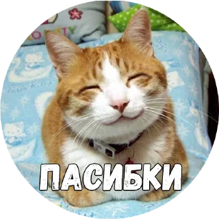 😊