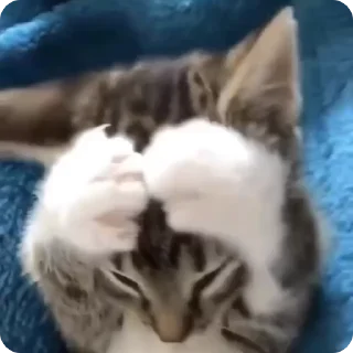 😳