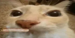 🚬