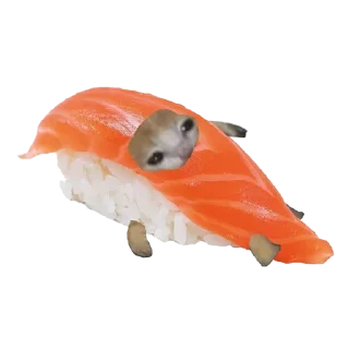 🍣