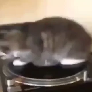 😎