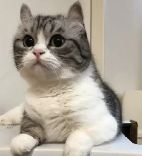 🧐