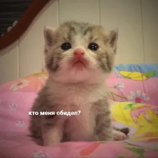 🧐