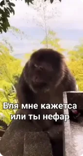 🧐