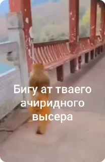 🏃‍♂
