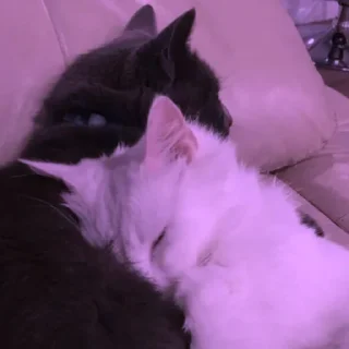 💜
