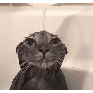 💧
