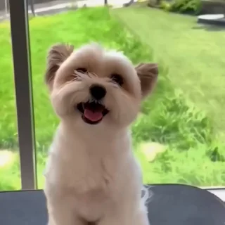 😧