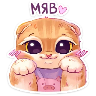 🐈