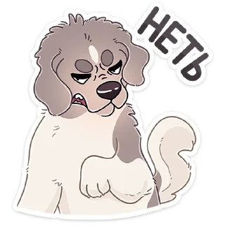 🐶