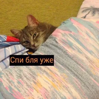 😴