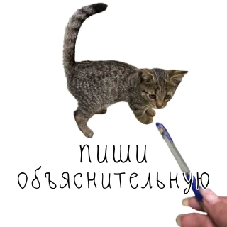 ✍️
